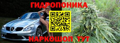 сатива Краснознаменск