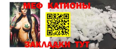 сатива Краснознаменск