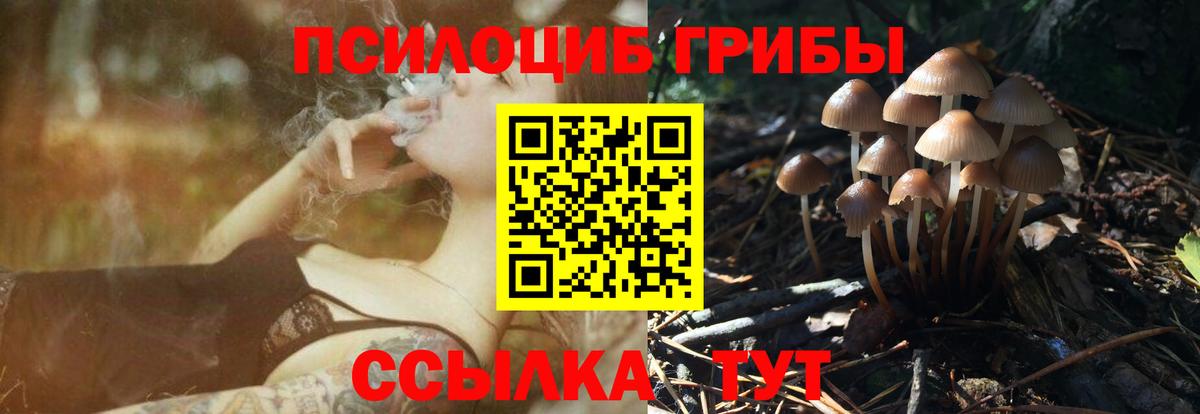 Псилоцибиновые грибы Psilocybine cubensis Ступино